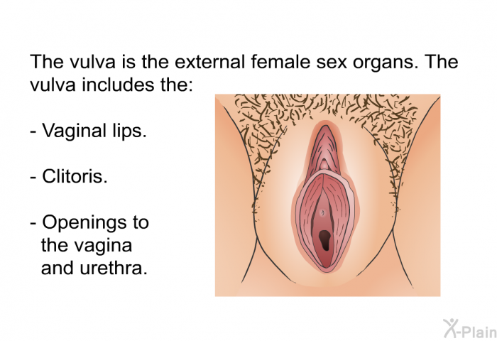 Como se hace un exudado vulvar en casa