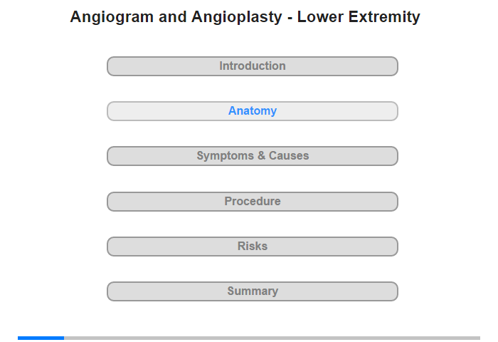 Anatomy