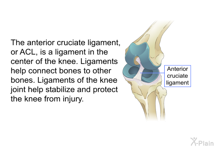 The anterior cruciate ligament, or ACL, is a ligament in the center of the knee. Ligaments help connect bones to other bones. Ligaments of the knee joint help stabilize and protect the knee from injury.