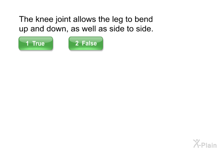 The knee joint allows the leg to bend up and down, as well as side to side.