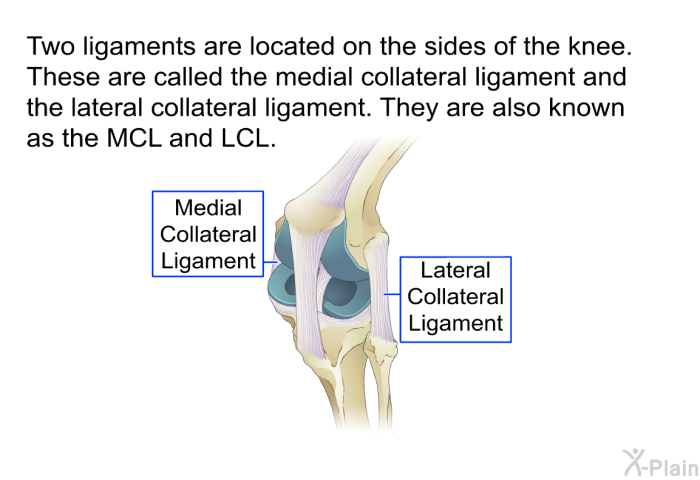 Two ligaments are located on the sides of the knee. These are called the medial collateral ligament and the lateral collateral ligament. They are also known as the MCL and LCL.