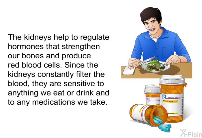 The kidneys help to regulate hormones that strengthen our bones and produce red blood cells. Since the kidneys constantly filter the blood, they are sensitive to anything we eat or drink and to any medications we take.