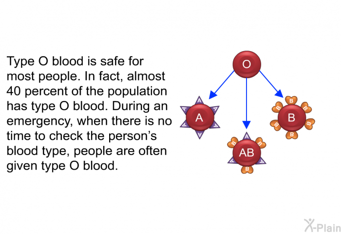 Type O blood is safe for most people. In fact, almost 40 percent of the population has type O blood. During an emergency, when there is no time to check the person's blood type, people are often given type O blood.