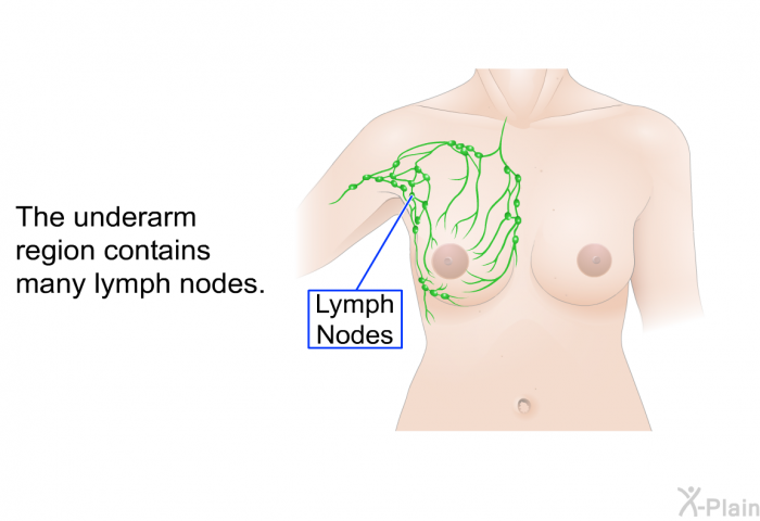 The underarm region contains many lymph nodes.