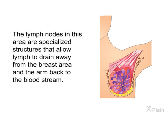 The lymph nodes in this area are specialized structures that allow lymph to drain away from the breast area and the arm back to the blood stream.