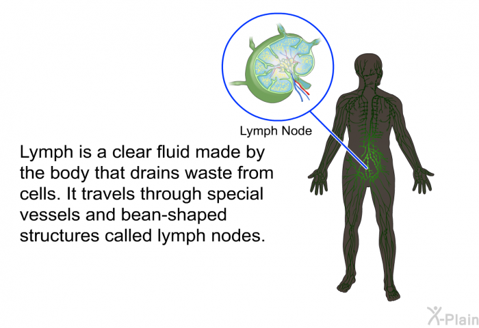 Lymph is a clear fluid made by the body that drains waste from cells. It travels through special vessels and bean-shaped structures called lymph nodes.