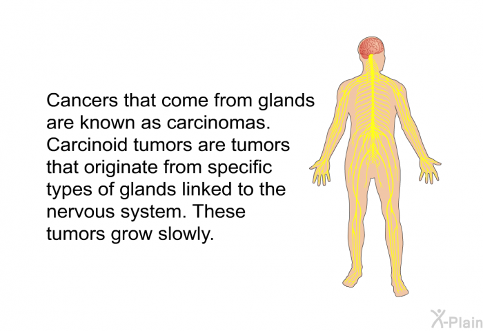 Cancers that come from glands are known as carcinomas. Carcinoid tumors are tumors that originate from specific types of glands linked to the nervous system. These tumors grow slowly.