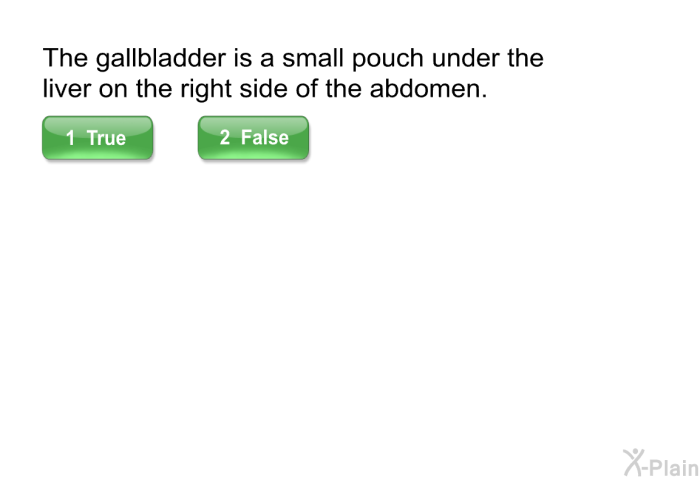 The gallbladder is a small pouch under the liver on the right side of the abdomen.