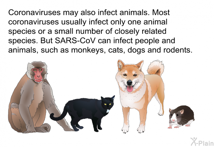 Coronaviruses may also infect animals. Most coronaviruses usually infect only one animal species or a small number of closely related species. But SARS-CoV can infect people and animals, such as monkeys, cats, dogs and rodents.