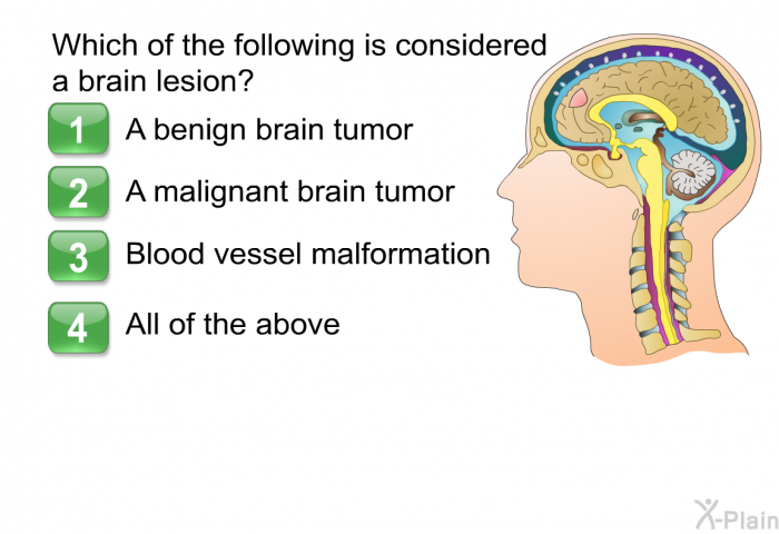 Which of the following is considered a brain lesion?  A benign brain tumor A malignant brain tumor Blood vessel malformation All of the above.