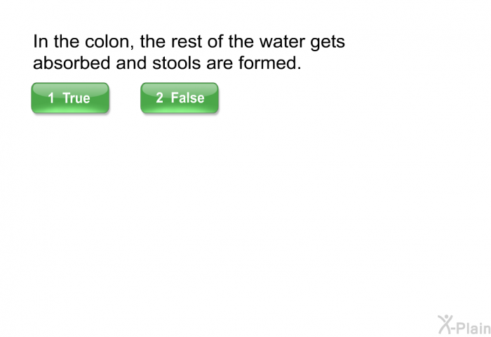 In the colon, the rest of the water gets absorbed and stools are formed.