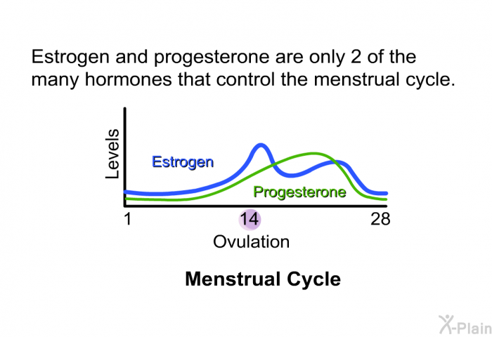 Estrogen and progesterone are only 2 of the many hormones that control the menstrual cycle.