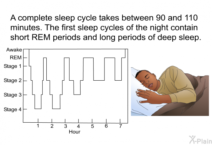 A complete sleep cycle takes between 90 and 110 minutes. The first sleep cycles of the night contain short REM periods and long periods of deep sleep.