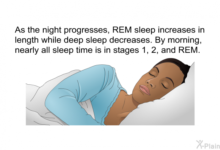 As the night progresses, REM sleep increases in length while deep sleep decreases. By morning, nearly all sleep time is in stages 1, 2, and REM.