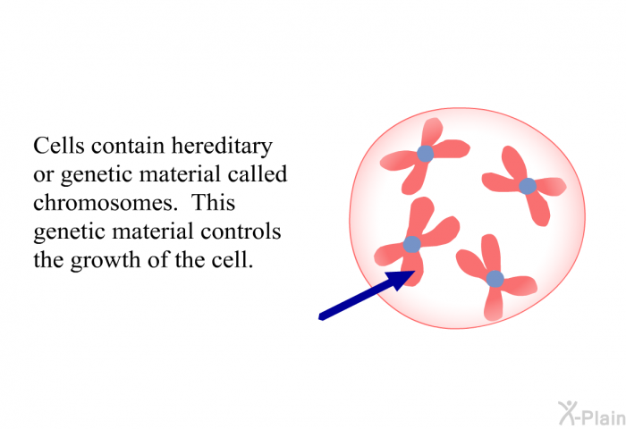 Cells contain hereditary or genetic material called chromosomes. This genetic material controls the growth of the cell.