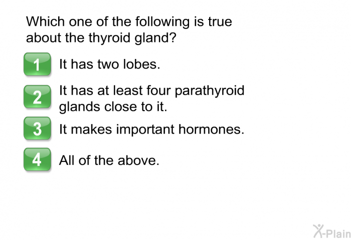 Which one of the following is true about the thyroid gland?  It has two lobes. It has at least four parathyroid glands close to it. It makes important hormones. All of the above.