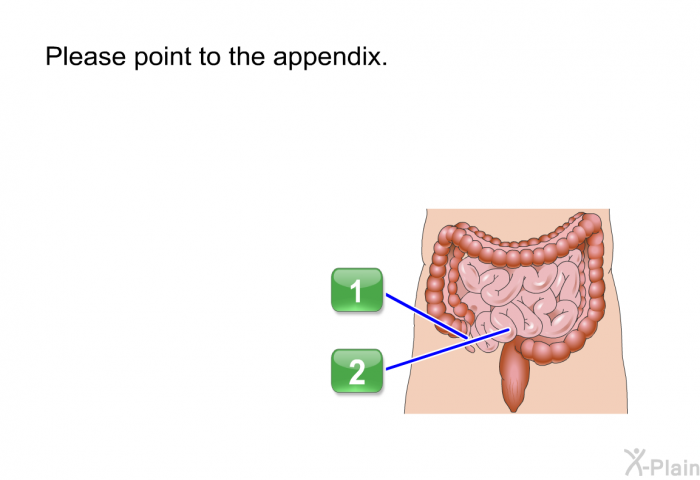 Please point to the appendix.