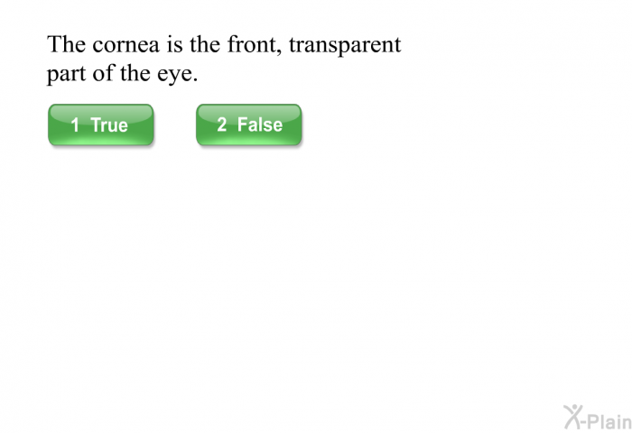 The cornea is the front, transparent part of the eye.