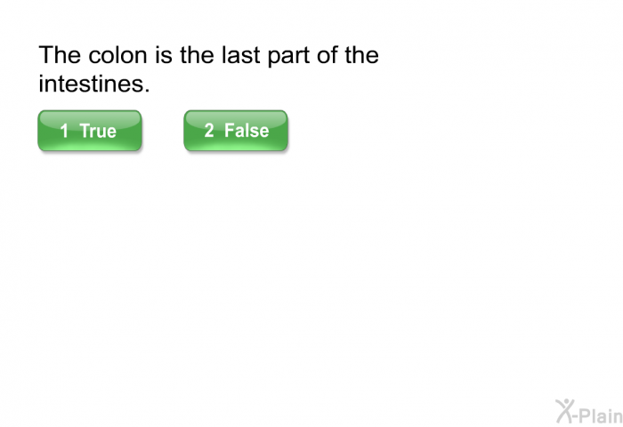 The colon is the last part of the intestines.