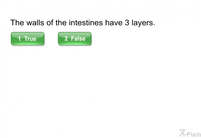 The walls of the intestines have 3 layers.