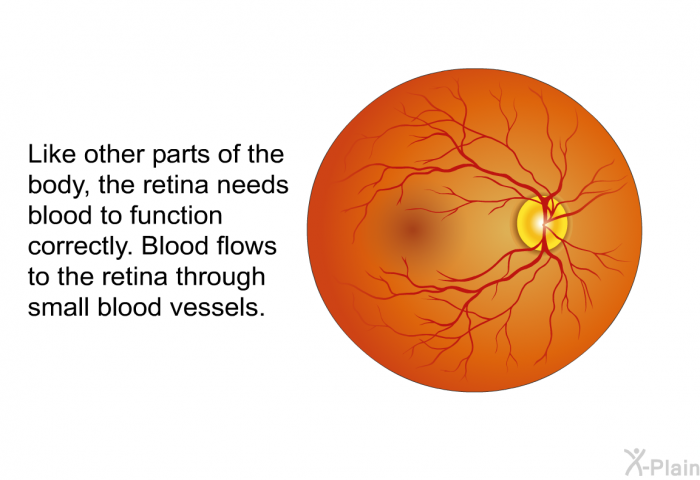 Like other parts of the body, the retina needs blood to function correctly. Blood flows to the retina through small blood vessels.