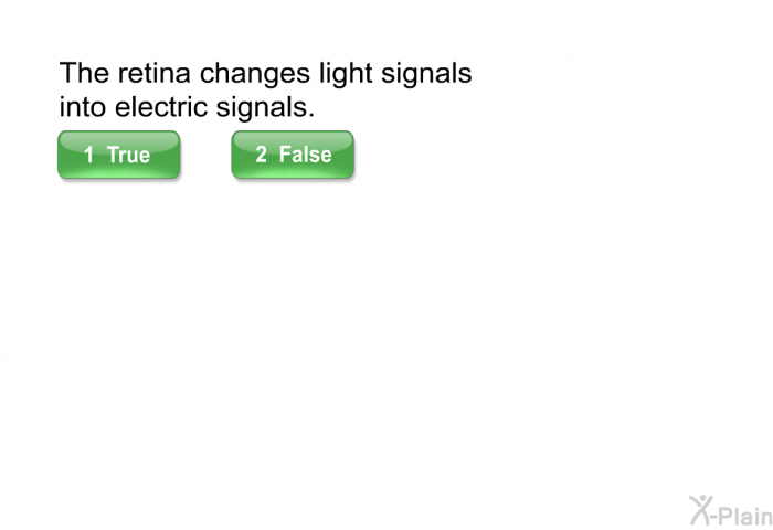 The retina changes light signals into electric signals.