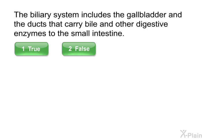 The biliary system includes the gallbladder and the ducts that carry bile and other digestive enzymes to the small intestine.