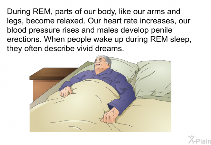 During REM, parts of our body, like our arms and legs, become relaxed. Our heart rate increases, our blood pressure rises and males develop penile erections. When people wake up during REM sleep, they often describe vivid dreams.