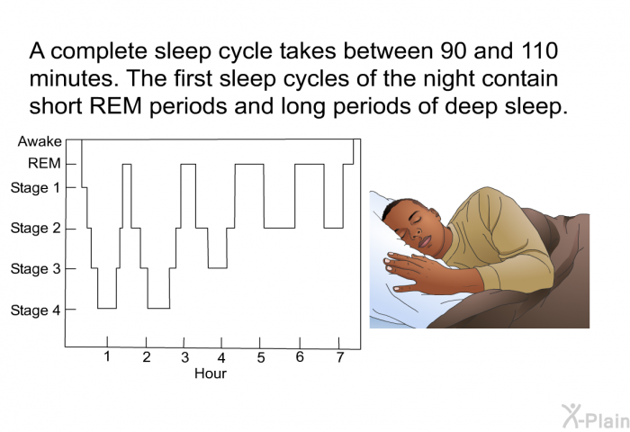 A complete sleep cycle takes between 90 and 110 minutes. The first sleep cycles of the night contain short REM periods and long periods of deep sleep.