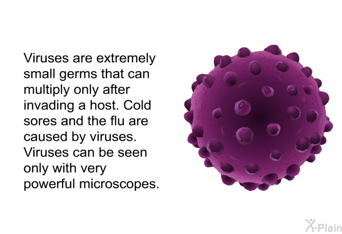 Viruses are extremely small germs that can multiply only after invading a host. Cold sores and the flu are caused by viruses. Viruses can be seen only with very powerful microscopes.