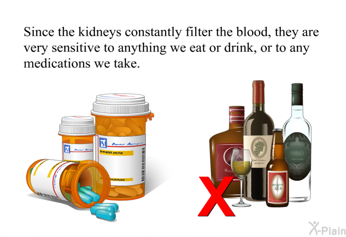 Since the kidneys constantly filter the blood, they are very sensitive to anything we eat or drink, or to any medications we take.