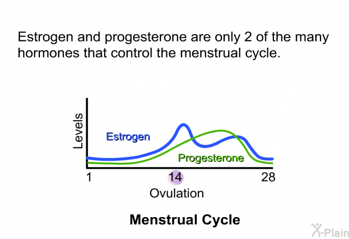 Estrogen and progesterone are only 2 of the many hormones that control the menstrual cycle.