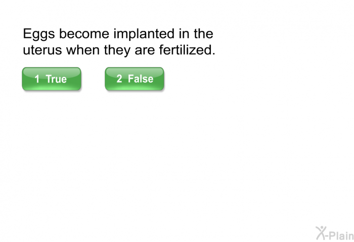 Eggs become implanted in the uterus when they are fertilized.