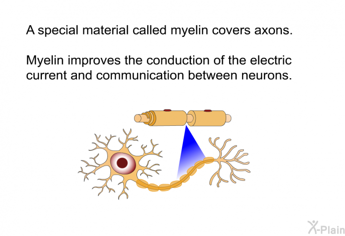 A special material called myelin covers axons. Myelin improves the conduction of the electric current and communication between neurons.