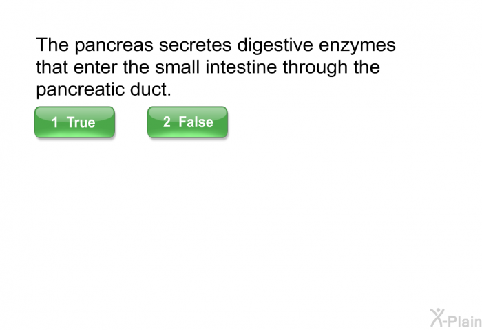 The pancreas secretes digestive enzymes that enter the small intestine through the pancreatic duct.