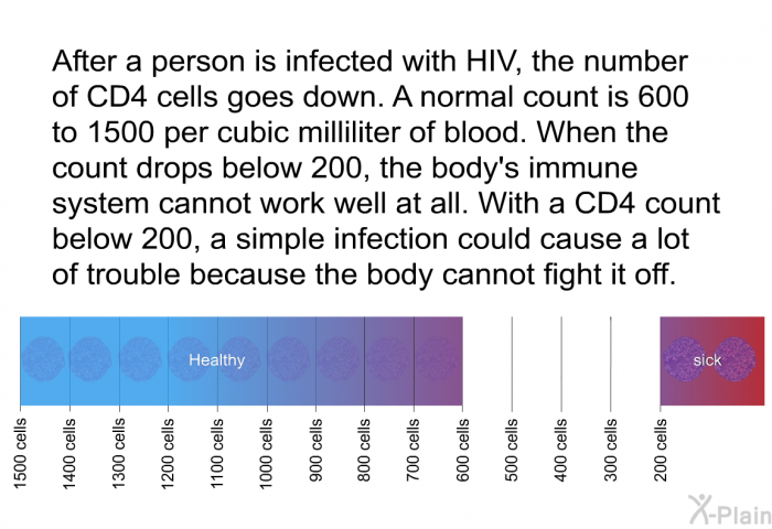 After a person is infected with HIV, the number of CD4 cells goes down. A normal count is 600 to 1500 per cubic milliliter of blood. When the count drops below 200, the body's immune system cannot work well at all. With a CD4 count below 200, a simple infection could cause a lot of trouble because the body cannot fight it off.