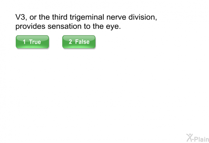 V3, or the third trigeminal nerve division, provides sensation to the eye.