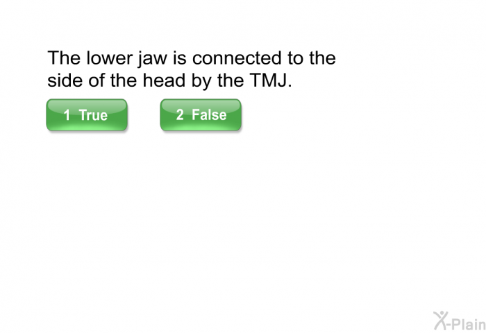 The lower jaw is connected to the side of the head by the TMJ.