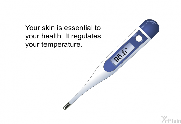 Your skin is essential to your health. It regulates your temperature.