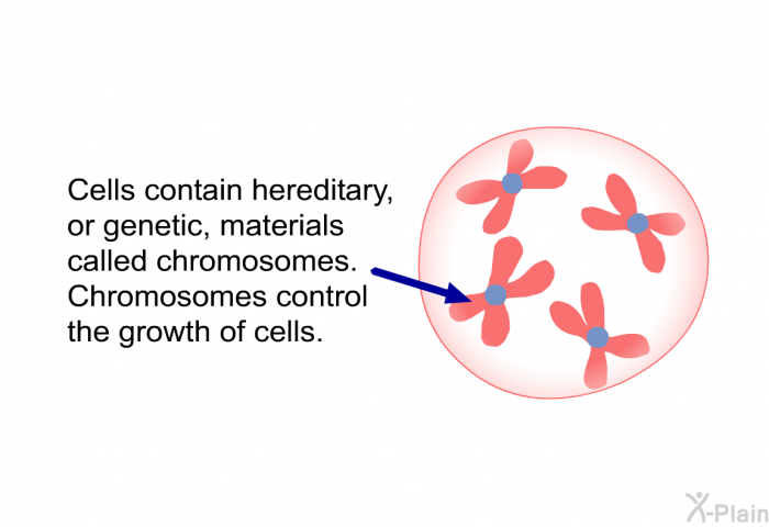 Cells contain hereditary, or genetic, materials called chromosomes. Chromosomes control the growth of cells.