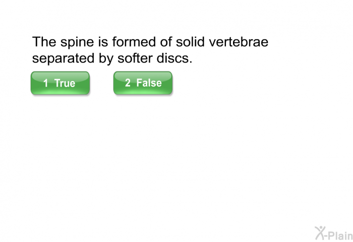 The spine is formed of solid vertebrae separated by softer discs.