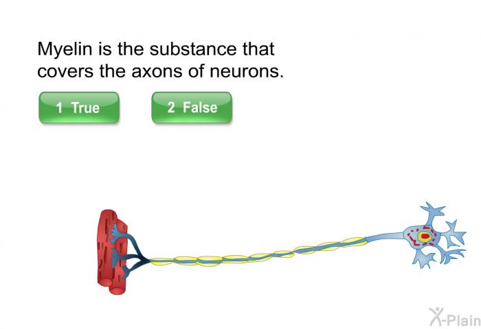 Myelin is the substance that covers the axons of neurons.