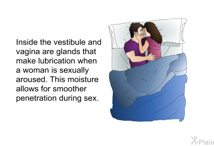 Inside the vestibule and vagina are glands that make lubrication when a woman is sexually aroused. This moisture allows for smoother penetration during sex.