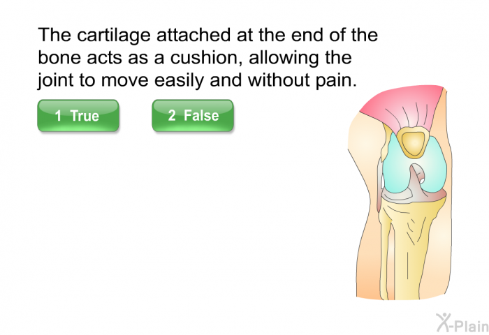 The cartilage attached at the end of the bone acts as a cushion, allowing the joint to move easily and without pain.