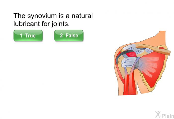 The synovium is a natural lubricant for joints.