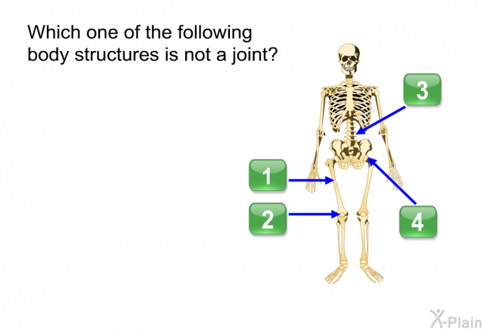 Which one of the following body structures is NOT a joint?