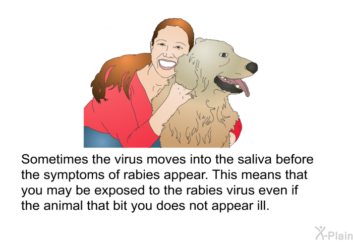 Sometimes the virus moves into the saliva before the symptoms of rabies appear. This means that you may be exposed to the rabies virus even if the animal that bit you does not appear ill.