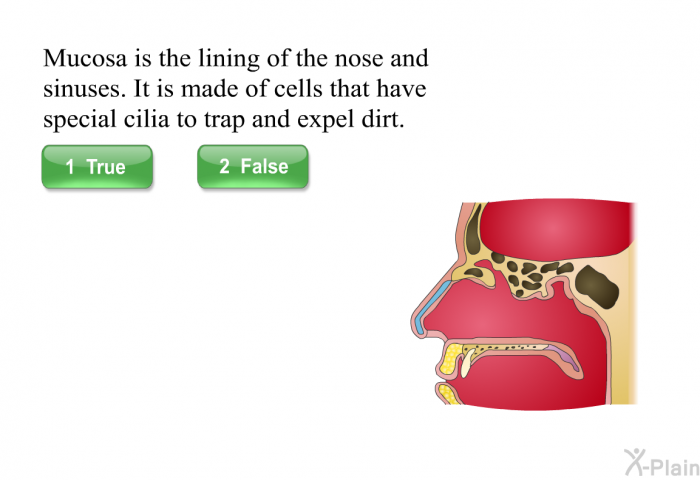 Mucosa is the lining of the nose and sinuses. It is made of cells that have special cilia to trap and expel dirt.