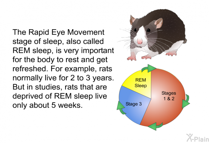 The Rapid Eye Movement stage of sleep, also called REM sleep, is very important for the body to rest and get refreshed. For example, rats normally live for 2 to 3 years. But in studies, rats that are deprived of REM sleep live only about 5 weeks.