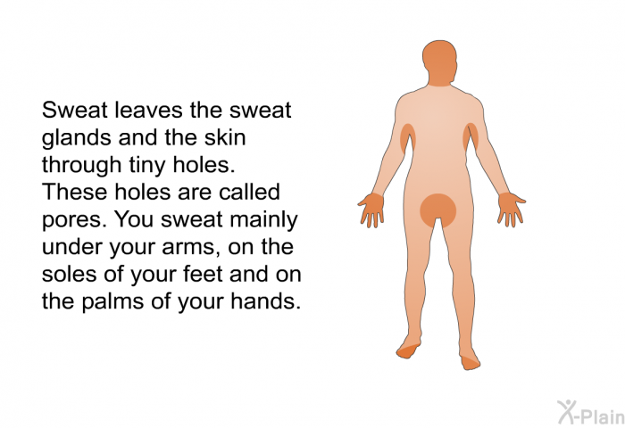 Sweat leaves the sweat glands and the skin through tiny holes. These holes are called pores. You sweat mainly under your arms, on the soles of your feet and on the palms of your hands.